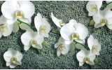 Fotobehang Papier Orchideeën, Bloem | Wit | 254x184cm