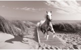 Fotobehang Vlies | Paard | Grijs | 368x254cm (bxh)