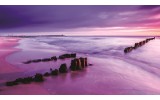Fotobehang Vlies | Strand, Zee | Paars | 368x254cm (bxh)