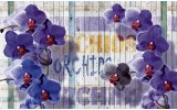 Fotobehang Landelijk, Orchidee | Paars | 312x219cm