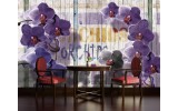 Fotobehang Landelijk, Orchidee | Paars | 104x70,5cm