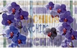 Fotobehang Vlies | Landelijk, Orchidee | Paars | 368x254cm (bxh)
