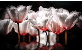 Fotobehang Bloemen, Tulpen | Wit | 104x70,5cm