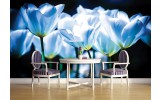Fotobehang Bloemen, Tulpen | Blauw | 208x146cm