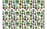 Fotobehang Vlies | Cactus | Groen | 368x254cm (bxh)