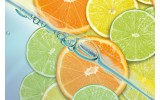 Fotobehang Vlies | Fruit, Keuken | Oranje, Groen | 368x254cm (bxh)