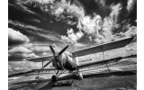 Fotobehang Vlies | Vliegtuig | Zwart, Wit | 368x254cm (bxh)
