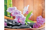 Fotobehang Bloemen, Orchidee | Paars | 416x254