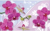 Fotobehang Orchideeën, Bloemen | Roze | 104x70,5cm