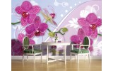 Fotobehang Orchideeën, Bloemen | Roze | 104x70,5cm