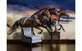 Fotobehang Paarden | Bruin | 208x146cm