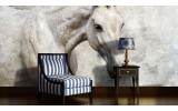 Fotobehang Paarden | Wit | 104x70,5cm