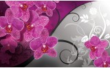 Fotobehang Bloemen, Orchidee | Roze, Grijs | 104x70,5cm