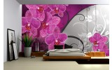 Fotobehang Papier Bloemen, Orchidee | Roze, Grijs | 368x254cm
