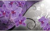 Fotobehang Papier Bloemen, Orchidee | Paars, Grijs | 368x254cm