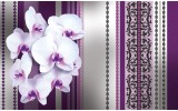 Fotobehang Papier Bloemen, Orchidee | Paars, Grijs | 254x184cm