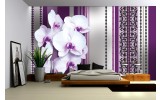 Fotobehang Bloemen, Orchidee | Paars, Grijs | 312x219cm