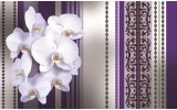 Fotobehang Bloemen, Orchidee | Paars, Grijs | 208x146cm