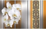 Fotobehang Vlies | Bloemen, Orchidee | Wit, Oranje | 368x254cm (bxh)
