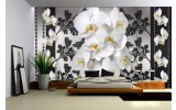 Fotobehang Bloemen, Orchideeën | Wit, Grijs | 312x219cm