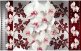 Fotobehang Papier Bloemen, Orchideeën | Wit, Grijs | 254x184cm
