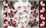 Fotobehang Vlies | Bloemen, Orchideeën | Wit, Grijs | 368x254cm (bxh)