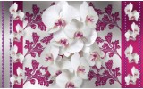 Fotobehang Bloemen, Orchideeën | Roze, Wit | 152,5x104cm