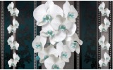 Fotobehang Bloemen, Orchideeën | Turquoise | 208x146cm