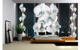 Fotobehang Bloemen, Orchideeën | Turquoise | 312x219cm