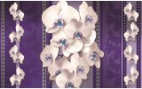 Fotobehang Bloemen, Orchideeën | Paars | 208x146cm