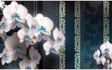 Fotobehang Bloemen, Orchideeën | Turquoise | 152,5x104cm