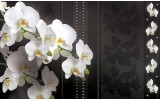 Fotobehang Bloemen, Orchideeën | Wit | 416x254