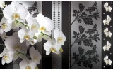 Fotobehang Papier Bloemen, Orchideeën | Grijs | 368x254cm