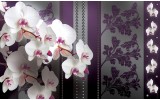 Fotobehang Papier Bloemen, Orchideeën | Paars | 368x254cm