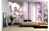 Fotobehang Bloemen, Orchideeën | Paars | 416x254