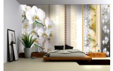 Fotobehang Papier Bloemen, Orchideeën | Geel | 254x184cm