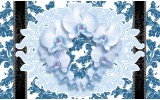 Fotobehang Bloemen, Orchideeën | Blauw | 312x219cm