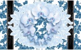 Fotobehang Vlies | Bloemen, Orchideeën | Blauw | 368x254cm (bxh)