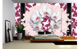 Fotobehang Papier Bloemen, Orchideeën | Wit | 368x254cm