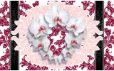 Fotobehang Vlies | Bloemen, Orchideeën | Wit | 368x254cm (bxh)