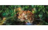 Fotobehang Jungle | Groen, Bruin | 250x104cm