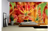 Fotobehang Bloemen | Oranje | 104x70,5cm