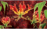 Fotobehang Bloemen | Rood, Groen | 104x70,5cm
