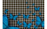 Fotobehang Vlies | Vlinder | Blauw, Grijs | 368x254cm (bxh)