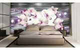 Fotobehang Papier Bloemen, Orchidee | Zilver, Paars | 368x254cm