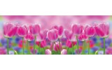 Fotobehang Vlies Tulpen, Bloemen | Roze | GROOT 832x254cm