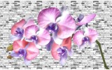 Fotobehang Bloemen, Orchidee | Paars | 152,5x104cm