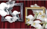 Fotobehang Bloemen, Orchidee | Wit | 104x70,5cm