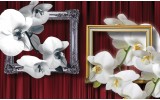 Fotobehang Bloemen, Orchidee | Wit | 152,5x104cm