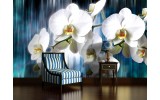 Fotobehang Orchidee, Bloemen | Wit | 208x146cm